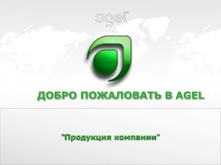 “ Продукция компании ”