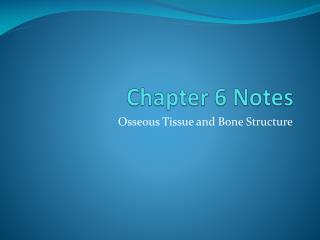 Chapter 6 Notes