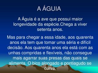 A ÁGUIA