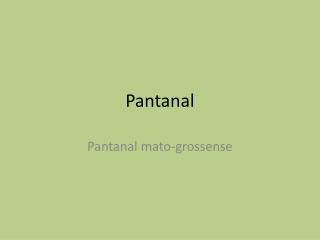 Pantanal