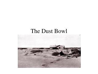 The Dust Bowl