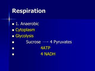 Respiration