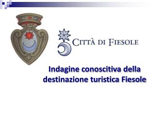 Indagine conoscitiva della destinazione turistica Fiesole