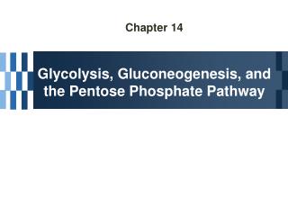 Chapter 14 Glycolysis, Gluconeogenesis, and the Pentose Phosphate Pathway