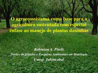 Robinson A. Pitelli Núcleo de Estudos e Pesquisas Ambientais em Matologia Unesp. Jaboticabal