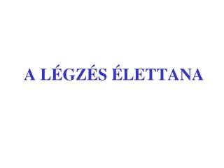 A LÉGZÉS ÉLETTANA