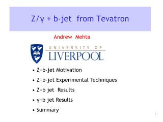 Z/ γ + b-jet from Tevatron