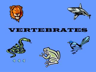 VERTEBRATES