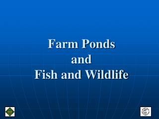 Farm Ponds and Fish and Wildlife