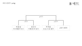 퍼플 성인부 -70 kg