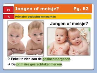 Jongen of meisje?		Pg. 62