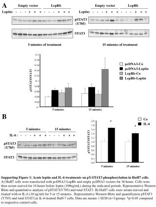 Supporting Figure 1: Acute leptin and IL-6 treatments on pY-STAT3 phosphorylation in HuH7 cells.
