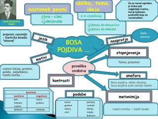 BOSA POJDIVA …