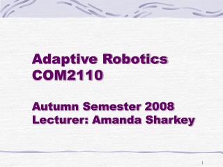 Adaptive Robotics COM2110 Autumn Semester 2008 Lecturer: Amanda Sharkey