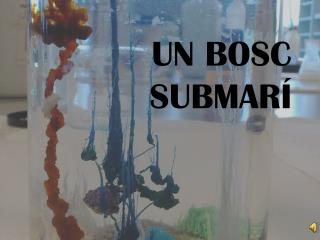 UN BOSC SUBMARÍ