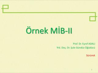 Örnek MİB-II