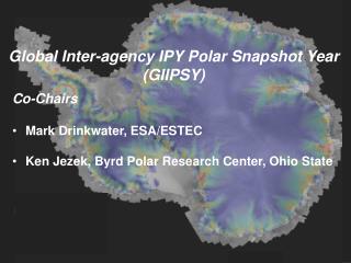 Global Inter-agency IPY Polar Snapshot Year (GIIPSY)