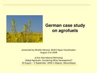 German case study 						on agrofuels presented by Mireille Hönicke, BUKO Agrar Koordination