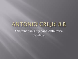 Antonio Crljić 8.b