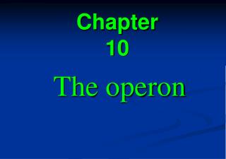 Chapter 10