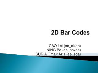 2D Bar Codes