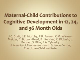 Maternal-Child Contributions to Cognitive Development in 12, 24, and 36 Month Olds