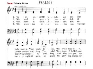 Tune: Olive’s Brow