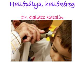 Hallópálya, hallókéreg Dr. Gallatz Katalin