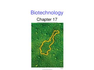 Biotechnology