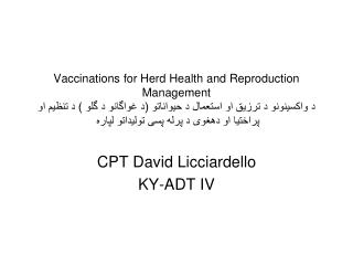 CPT David Licciardello KY-ADT IV