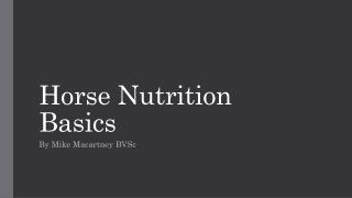 Horse Nutrition Basics