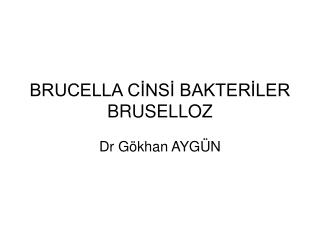 BRUCELLA CİNSİ BAKTERİLER BRUSELLOZ