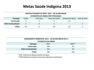 Metas Saúde Indígena 2013