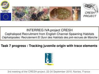 INTERREG IVA project CRESH Cephalopod Recruitment from English Channel Spawning Habitats