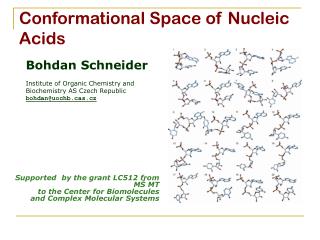 Conformational Space of Nucleic Acids