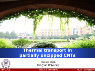 Thermal transport in partially unzipped CNTs