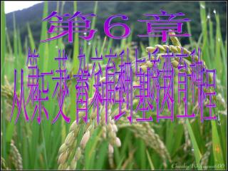 第 6 章