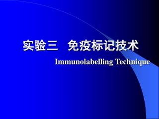 实验三 免疫标记技术