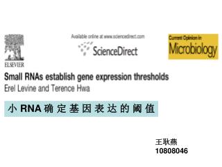 小 RNA 确 定 基 因 表 达 的 阈 值