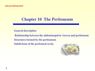 General description Relationship between the abdominopelvic viscera and peritoneum Structures formed by the peritoneum S