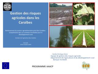 Gestion des risques agricoles dans les Caraïbes