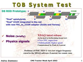 DS ROD Prototype: “final” optohybrids 	“final” CCUM integrated in the rod