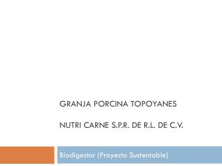 Granja porcina topoyanes nutri carne s.p.r. de r.l. de c.v.