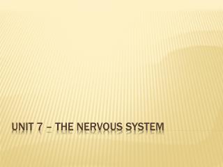 Unit 7 – The Nervous System