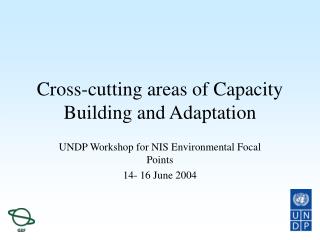 Cross-cutting areas of Capacity Building and Adaptation