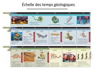 Échelle des temps géologiques