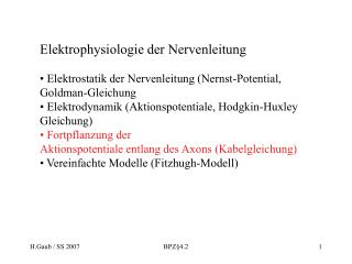 Elektrophysiologie der Nervenleitung