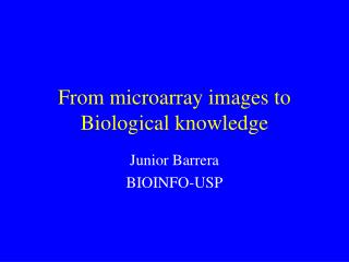 From microarray images to Biological knowledge