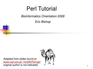 Perl Tutorial