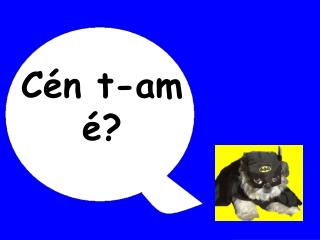 Cén t-am é?